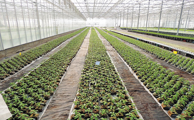 Latest trends in greenhouse technology