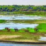 Mighty Nile River under threat in Egypt