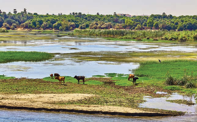 Mighty Nile River under threat in Egypt