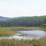Water management