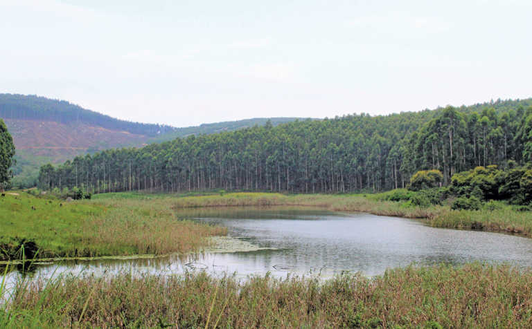 Water management: rainwater harvesting and better storage