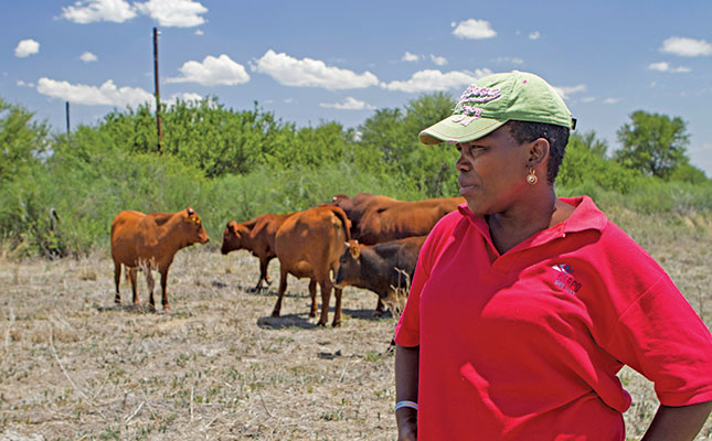 Laying the foundations for commercial farming