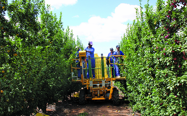 Agriculture expected to recover from poor showing in 1st quarter