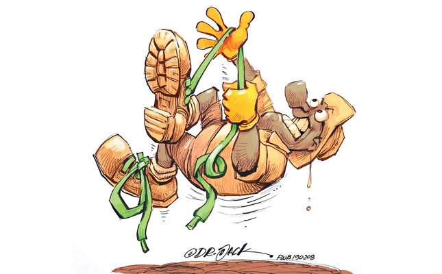 On the verge of success: SA’s ‘municipal farmers’ On the verge of success: SA’s ‘municipal farmers’