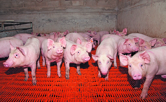 Global exporters scramble to fill Chinese pork supply gap Global exporters scramble to fill Chinese pork supply gap