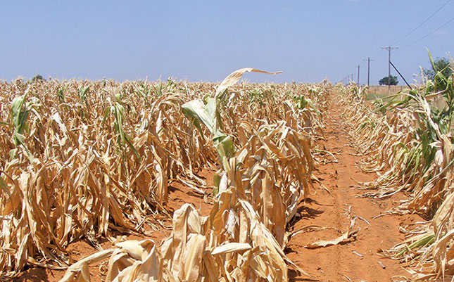 41 million people in Southern Africa to face food insecurity 41 million people in Southern Africa to face food insecurity