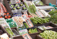 Cloudy weather hurts vegetable production in Japan