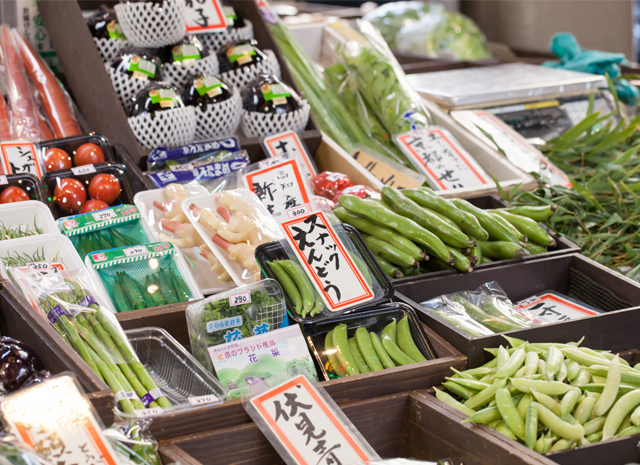 Cloudy weather hurts vegetable production in Japan