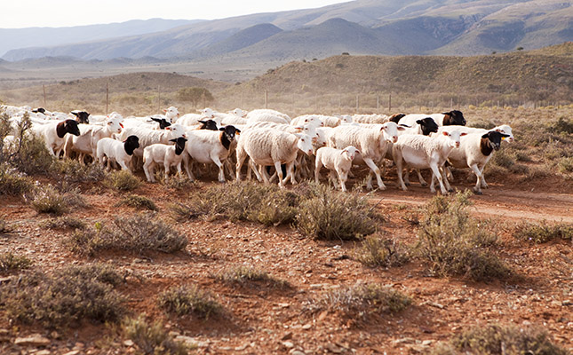 ‘Heat stress to become greater threat to agricultural workers’