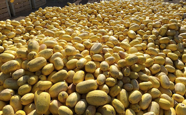 Ceres growers help drought-stricken Karoo farmers Ceres growers help drought-stricken Karoo farmers