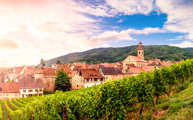 French wine production at risk from extreme heat