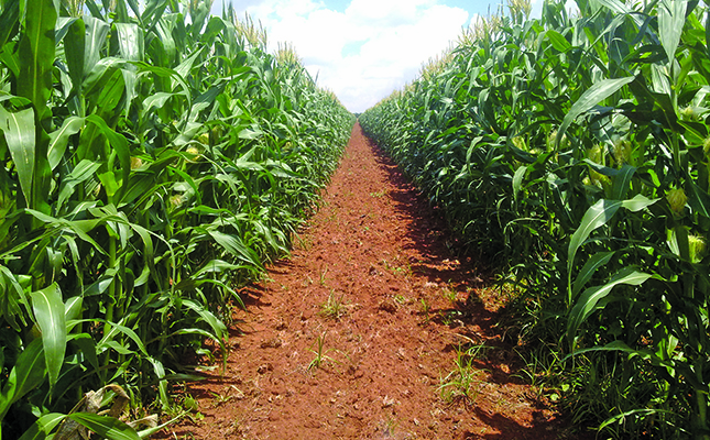 US farmers brace themselves for further crop damage