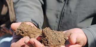 Soil samples