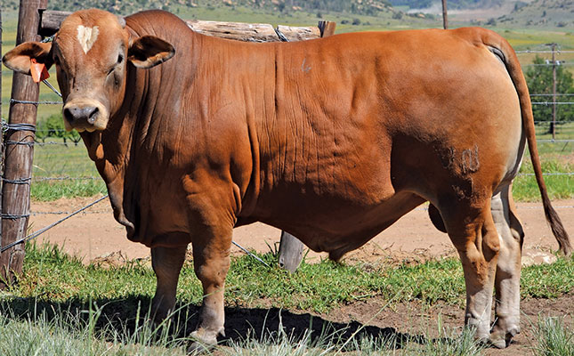 Innovative event is a learning opportunity for breeders Innovative event is a learning opportunity for breeders