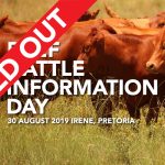 Beef Cattle Info Day