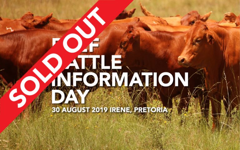 Beef Cattle Information Day