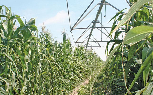Optimism about state-subsidised crop insurance scheme Optimism about state-subsidised crop insurance scheme
