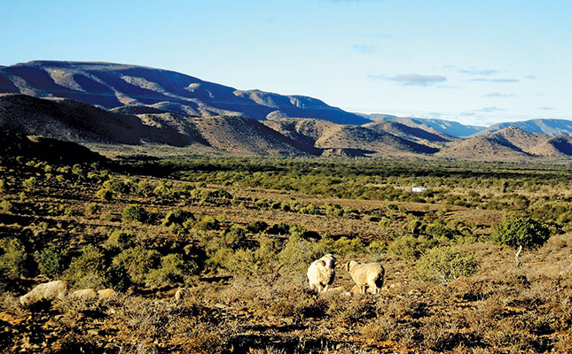 Agri industries record far better growth than SA economy