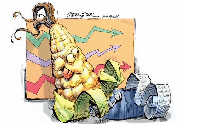 Grain hedging: lessons from the farmers who get it right Grain hedging: lessons from the farmers who get it right