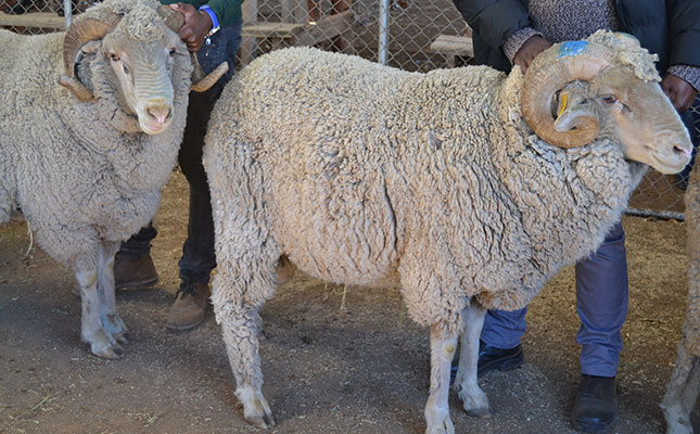 NWGA pleads for continued state support in communal ram project NWGA pleads for continued state support in communal ram project