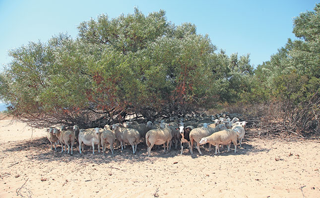 Climate change: let farmers lead the way