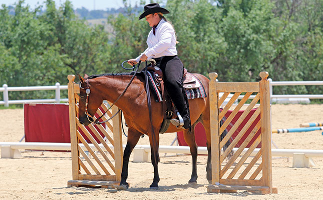 Working equitation: a new equestrian discipline in SA