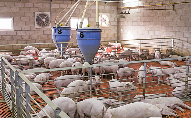 How the pork market recovered from ‘listeria hysteria’