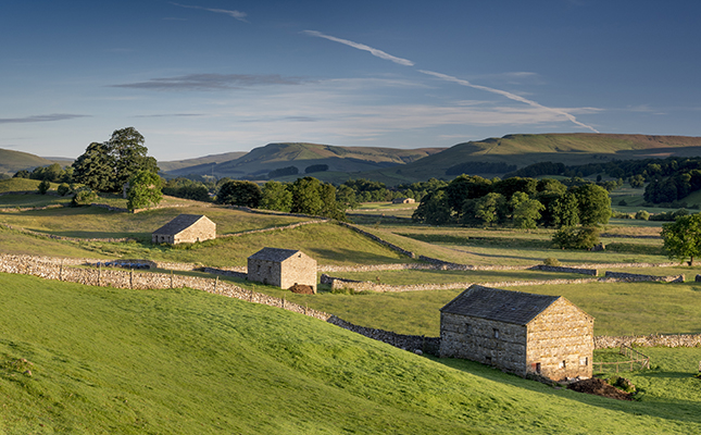 No-deal Brexit could cost UK agri sector around R15,7 billion a year