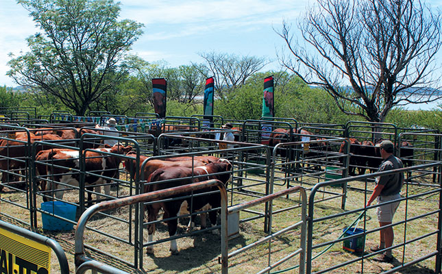 Book now: livestock farming conference