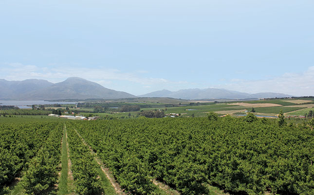 Africa’s quiet, but fierce, agri revolution Africa’s quiet, but fierce, agri revolution