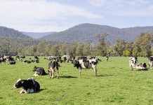 Concern as milk production in Australia reaches 22-year low