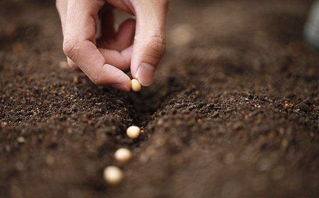 Rural development is key to promoting economic development Rural development is key to promoting economic development