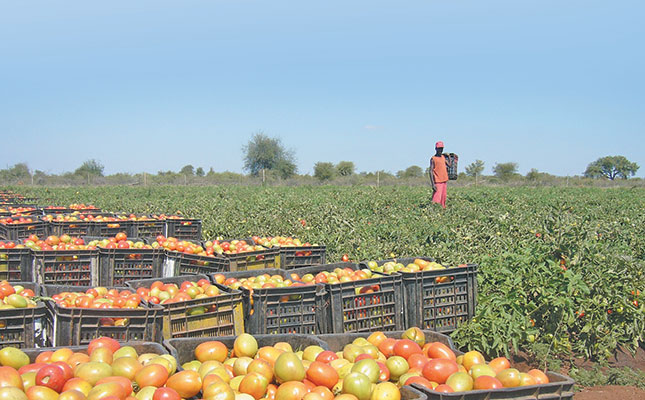 Botswana farmers want permanent ban of vegetable imports