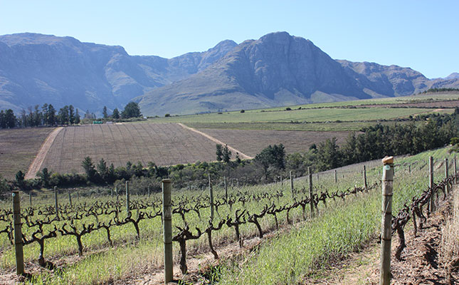 ‘High-end’ properties not the target of expropriation – Mahlati ‘High-end’ properties not the target of expropriation – Mahlati