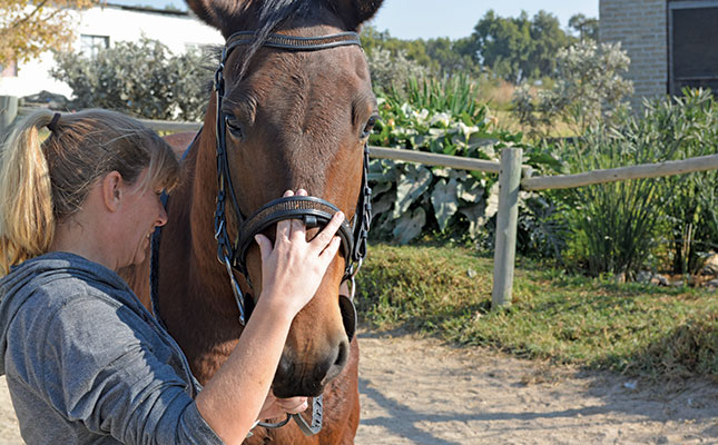Bridles: ensuring the right fit
