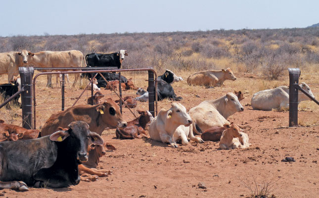 No need to panic about water shortages, yet – Sisulu