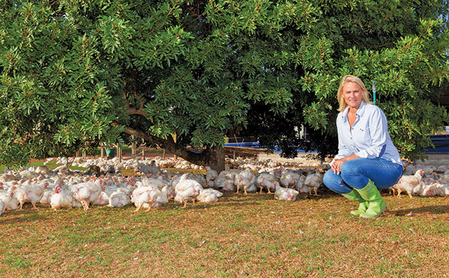 Raising stress-free broilers