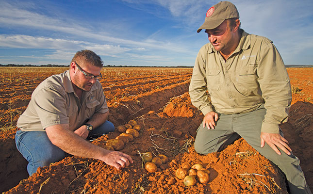 Potato marketer at the agribusiness GWK, Johann Botes (left), and producer Gerhard Bruwer discuss the quality of Lanorma potatoes due to be harvested soon.
