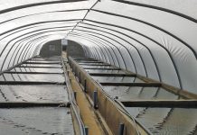 fish tunnel