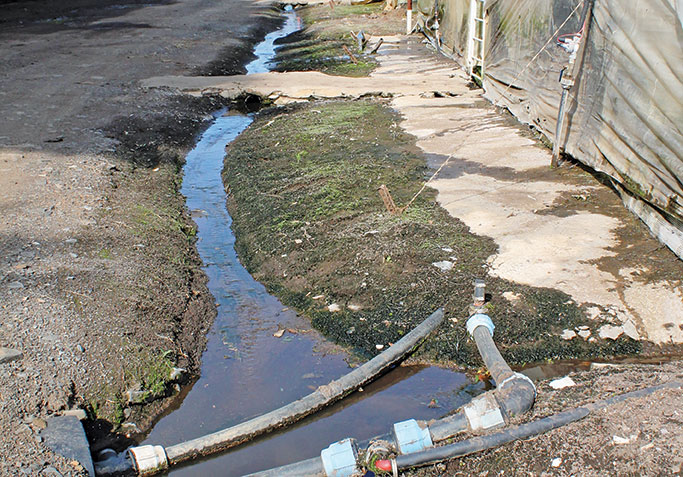 Run-off irrigation water