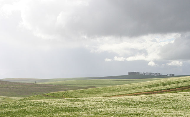 Below-average rainfall spells tough season ahead for Western Cape