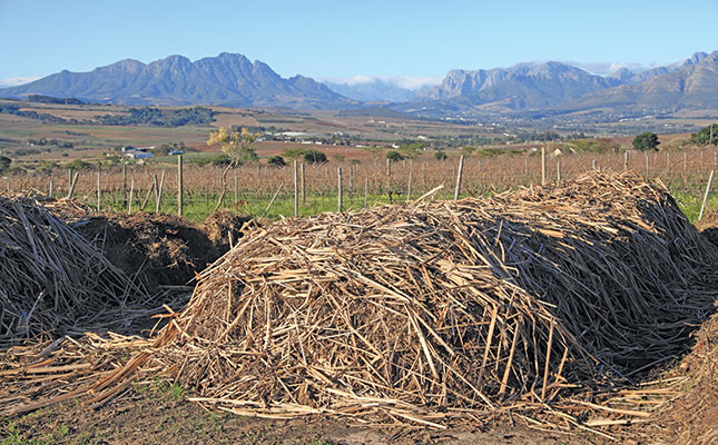 Organic winemaking: where nature sets the pace