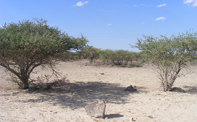 Northern Cape welcomes R30 million in drought aid