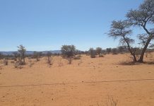 drought conditions in Namibia