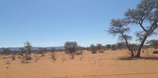 drought conditions in Namibia