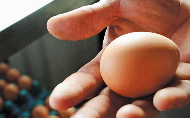 World Egg Day: celebrating the many benefits of the egg