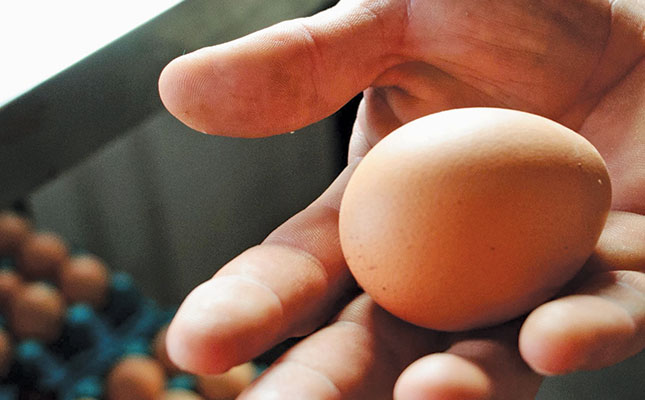 World Egg Day: celebrating the many benefits of the egg World Egg Day: celebrating the many benefits of the egg