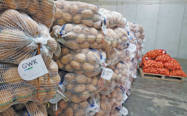 Certified seed potatoes