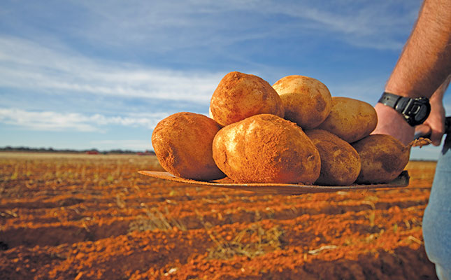 Potato farmer’s virgin soil strategy to reduce disease risk