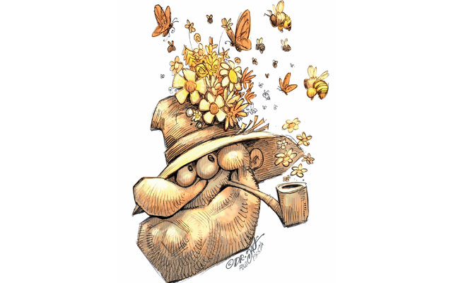 To feed the world, we have to protect the pollinators To feed the world, we have to protect the pollinators